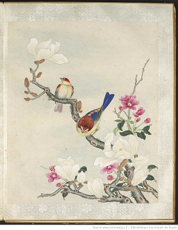 Peinture chinoise représentant des oiseaux sur une branche